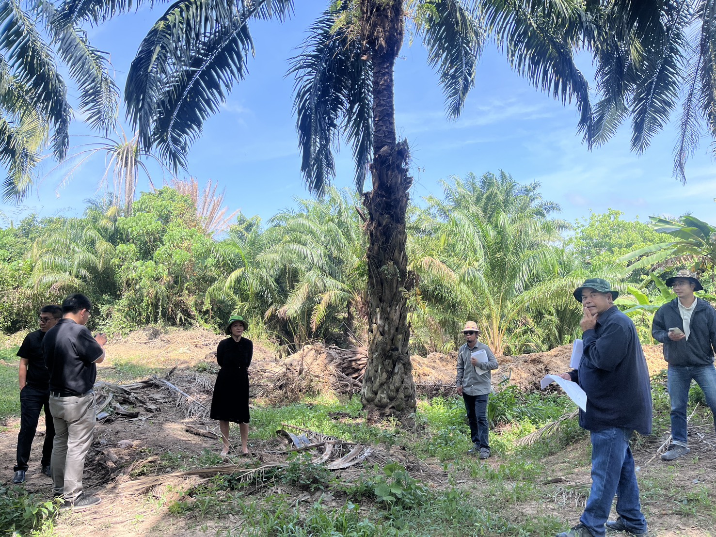 title - ส.ป.ก.กระบี่ ลงพื้นที่ติดตามความก้าวหน้าและแก้ไขปัญหาการดำเนินการจัดสรรที่ดินทำกินและระบบโครงสร้างพื้นฐานในพื้นที่ คทช. แปลงหมายเลข 602 และ 603